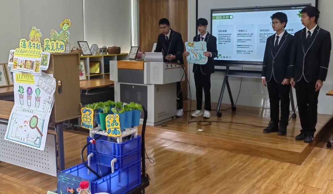 【免责声明】